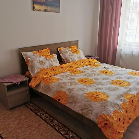 坎普朗莫道尼斯Apartament Bucovina公寓 外观 照片