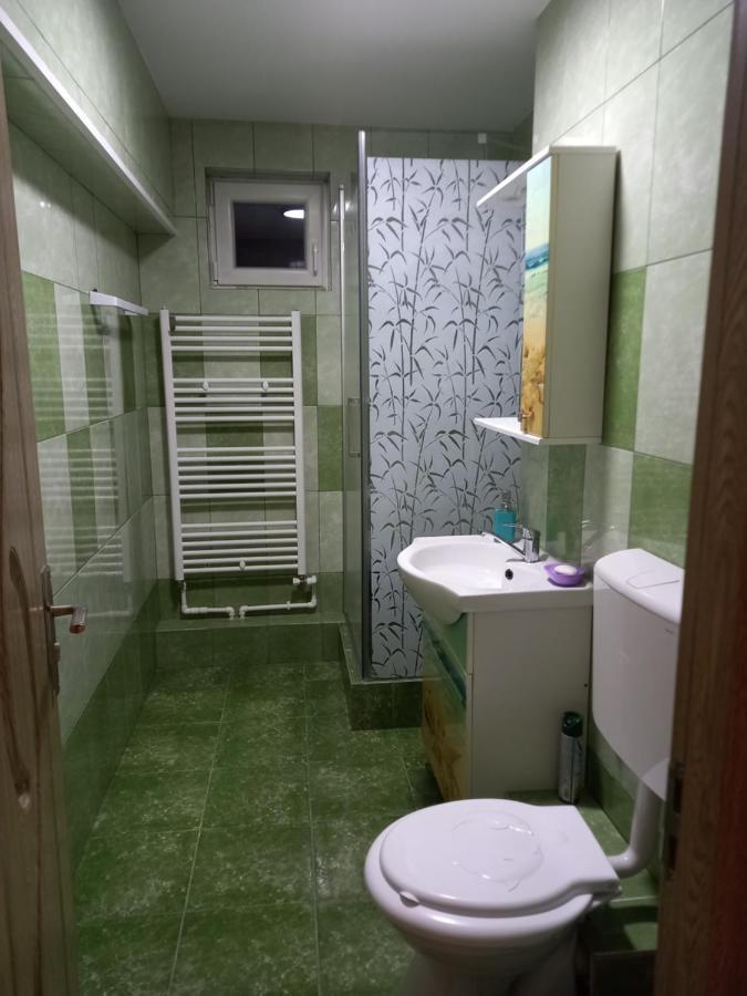 坎普朗莫道尼斯Apartament Bucovina公寓 外观 照片