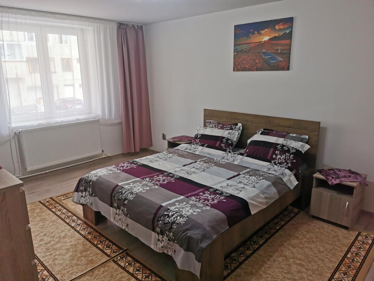坎普朗莫道尼斯Apartament Bucovina公寓 外观 照片