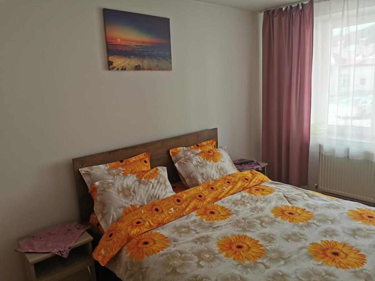 坎普朗莫道尼斯Apartament Bucovina公寓 外观 照片