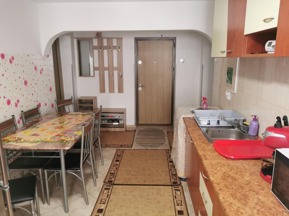 坎普朗莫道尼斯Apartament Bucovina公寓 外观 照片