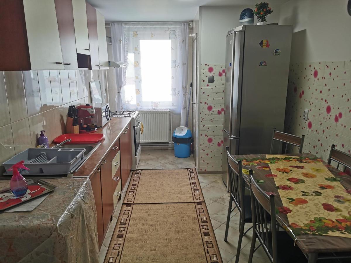 坎普朗莫道尼斯Apartament Bucovina公寓 外观 照片